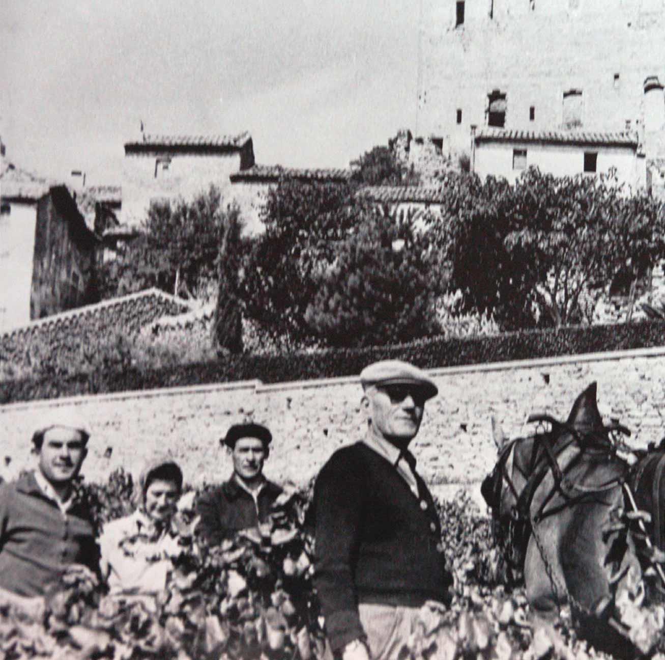 Domaine l´Arnesque