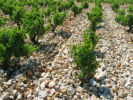 Domaine Usseglio